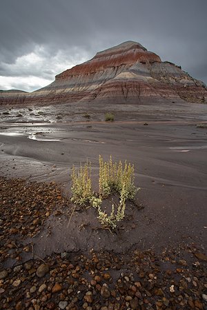 A photo in this story