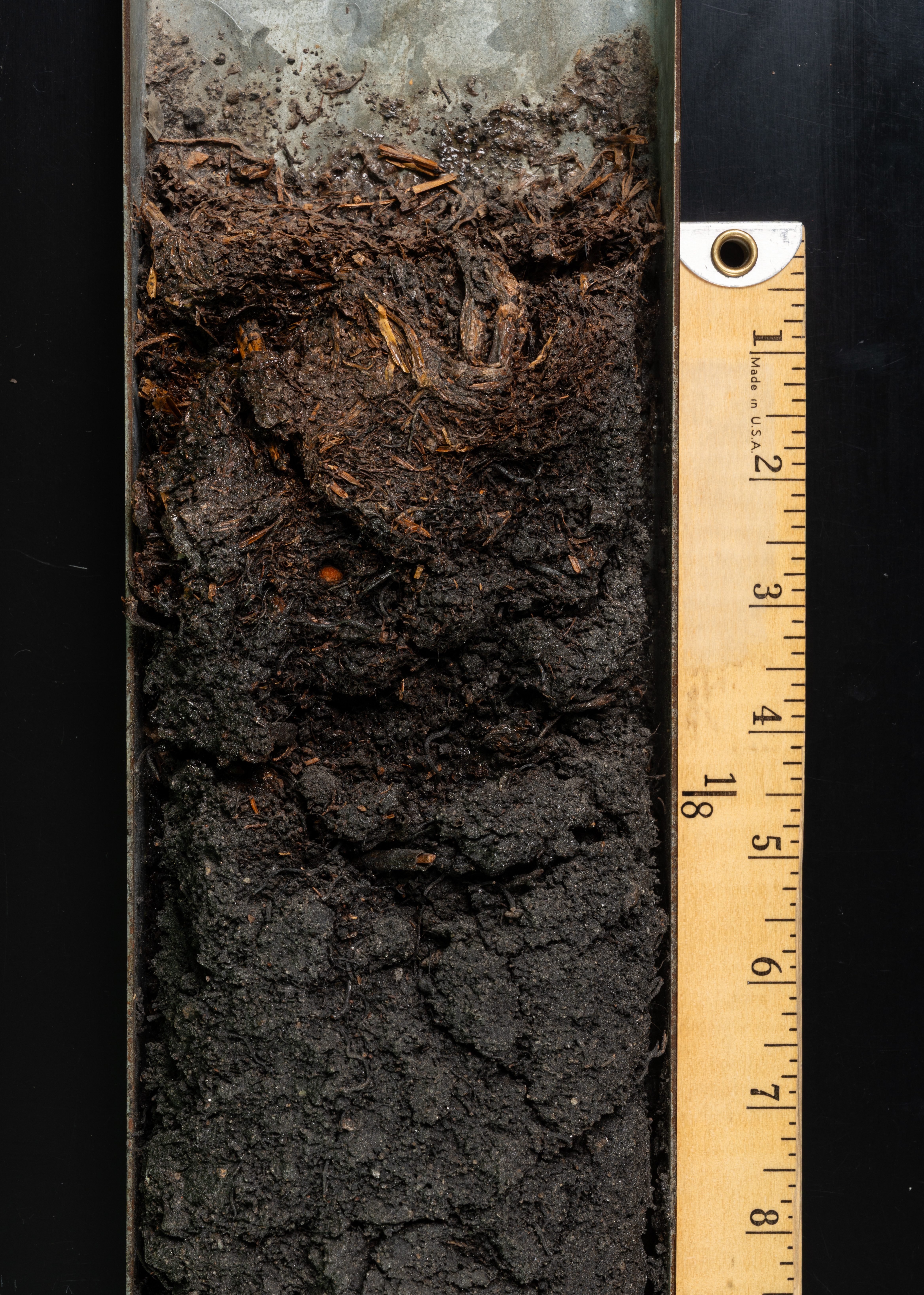 Soil sample shows dark, rich soil layers in a metal container. A ...