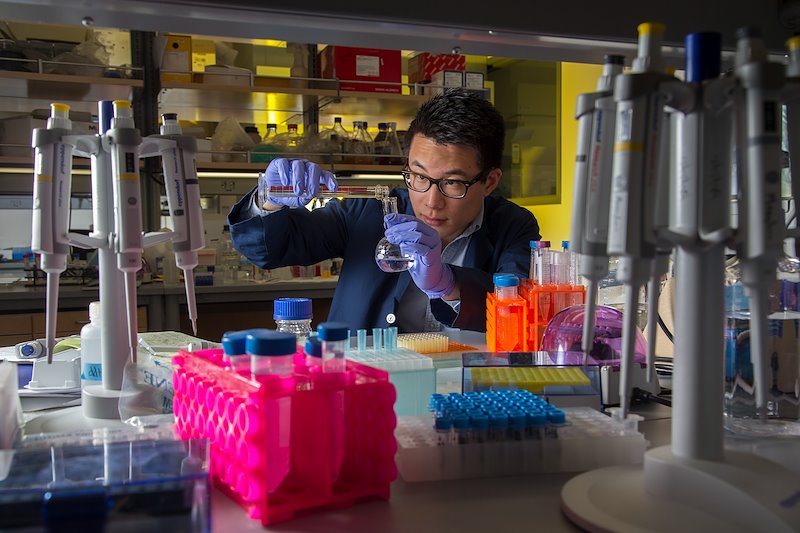 Alex Chu working in a lab in the Life Science's Building - Photo by Mark A. Philbrick/BYU