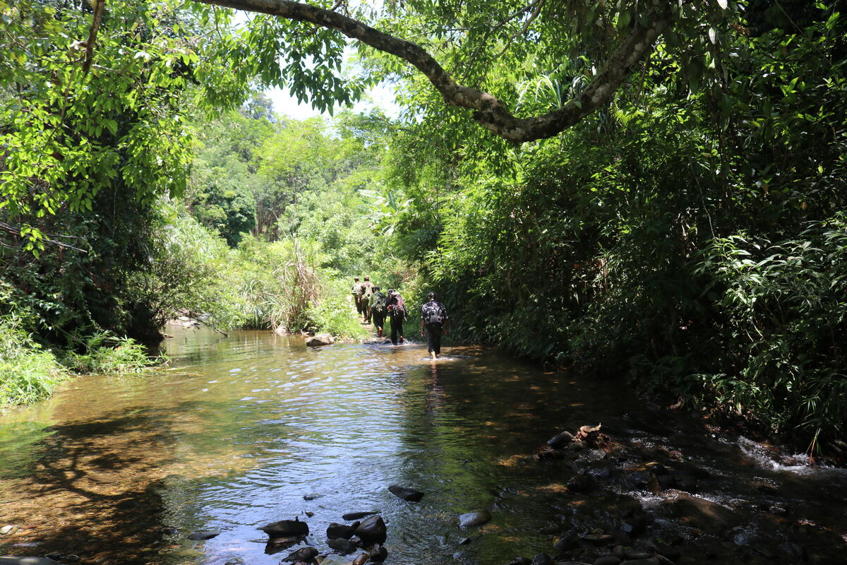 One of the largest contiguous natural forest areas in continental ...