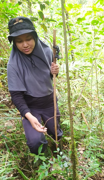 Snare removal patrol in Lore Lindu National Park, Indonesia. Photo: CIWT Project
