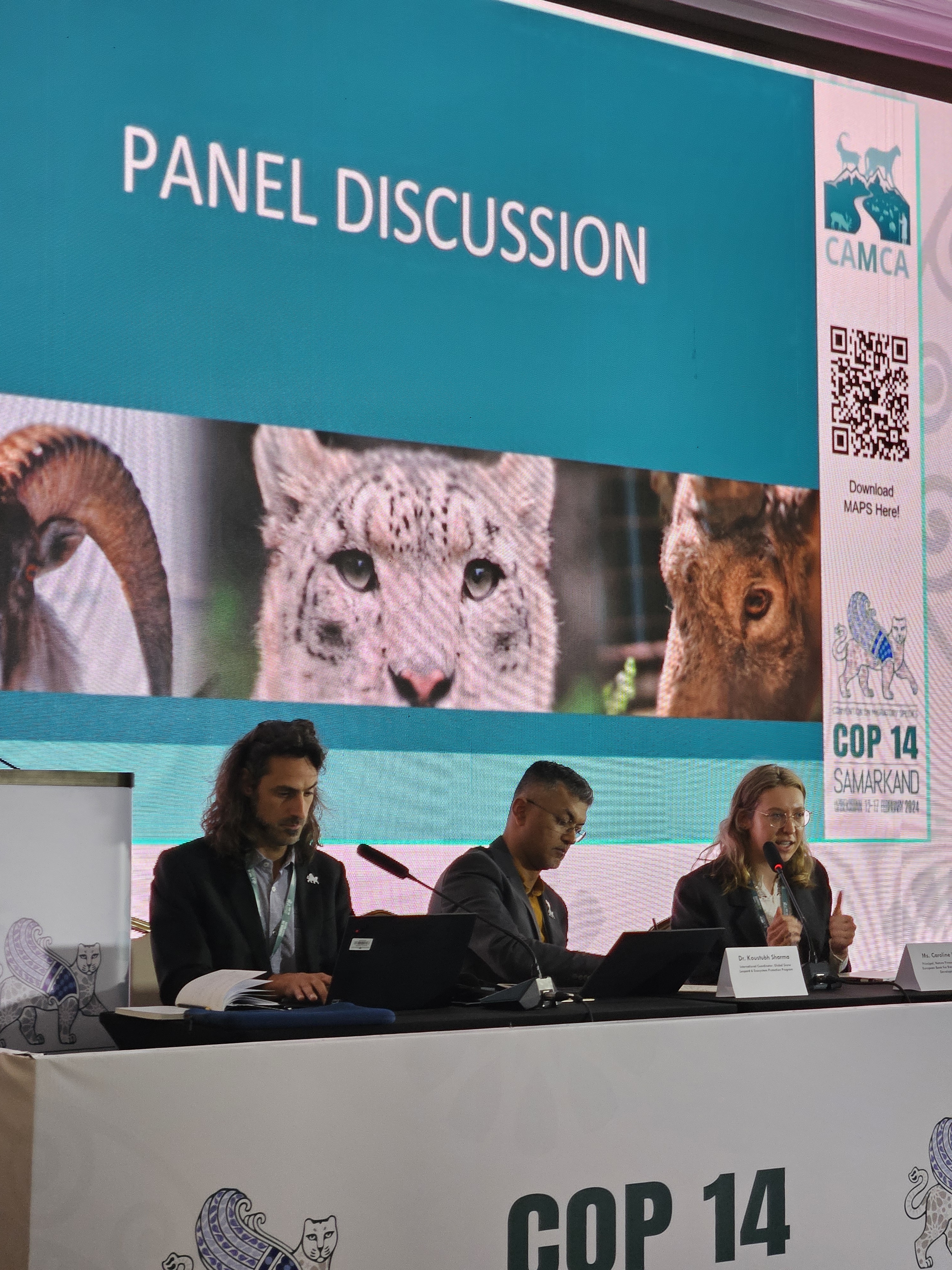 Panel discussion at CMS COP side-event.