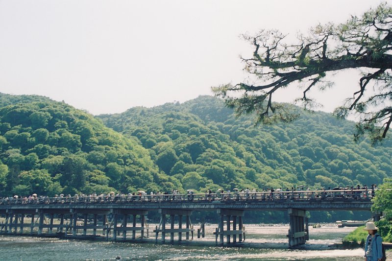 Arashiyama 3.jpg