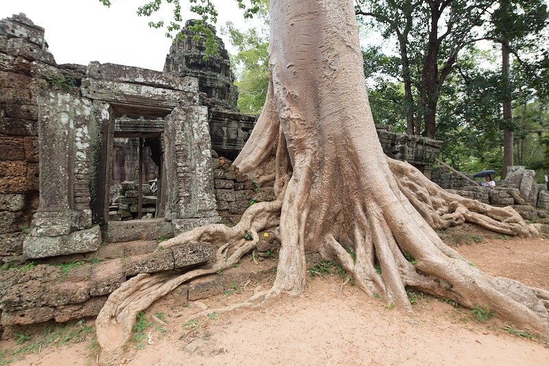 Siem Reap other temples 2-59.jpg