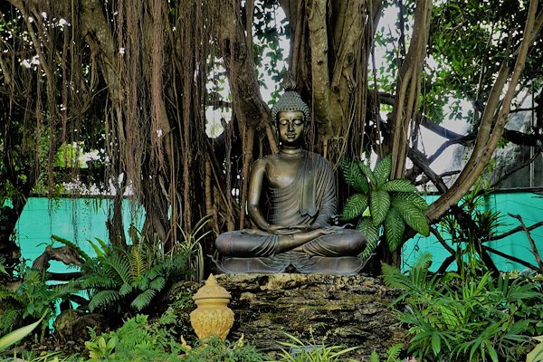 White Temple Garden in Chiang Rai.