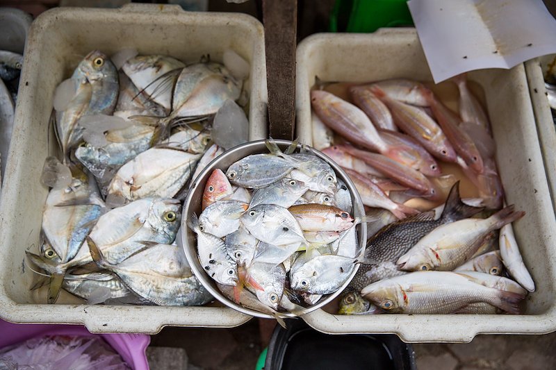 Fresh catches on display on Ko Phi Phi.