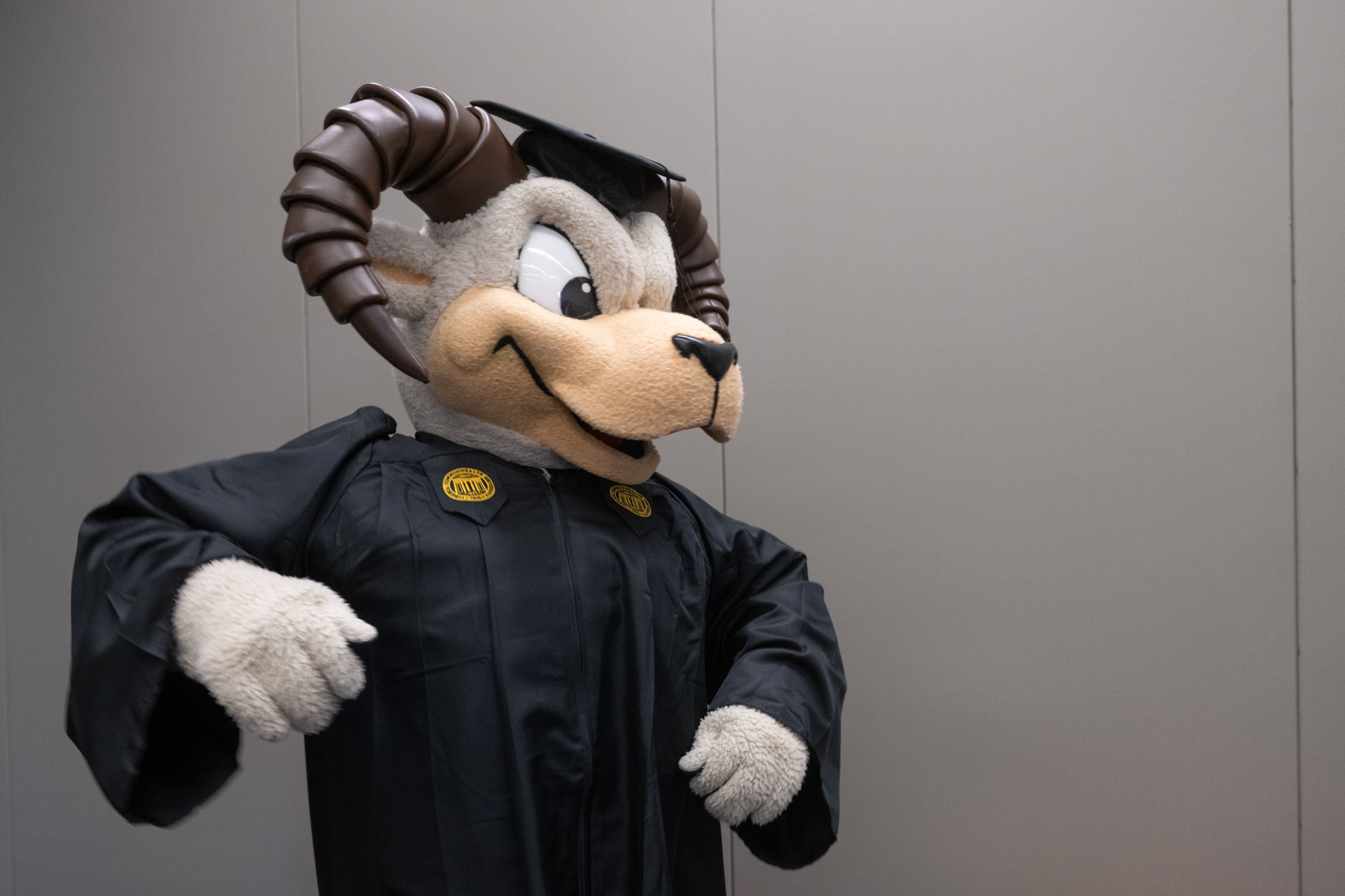 Mascot Rodney the Ram wears a graduation cap and gown.