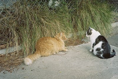 A photo in this story