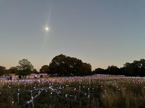 A photo in this story