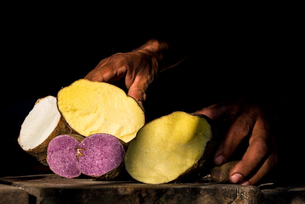 Coloured yams in Montes de Maria / Photo credit: Mauricio Enriquez