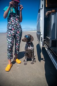 A photo in this story