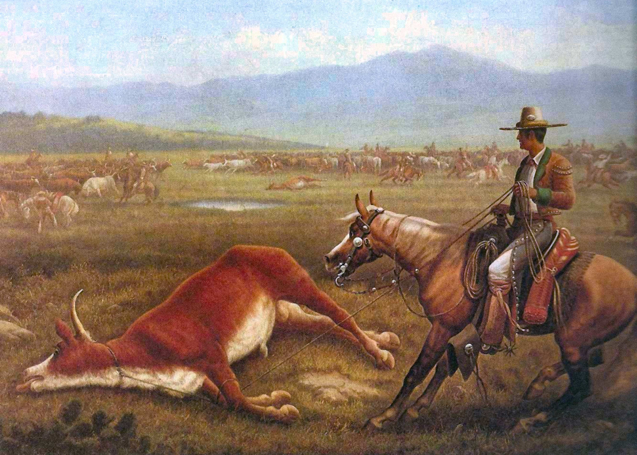 Montana ranch landscape