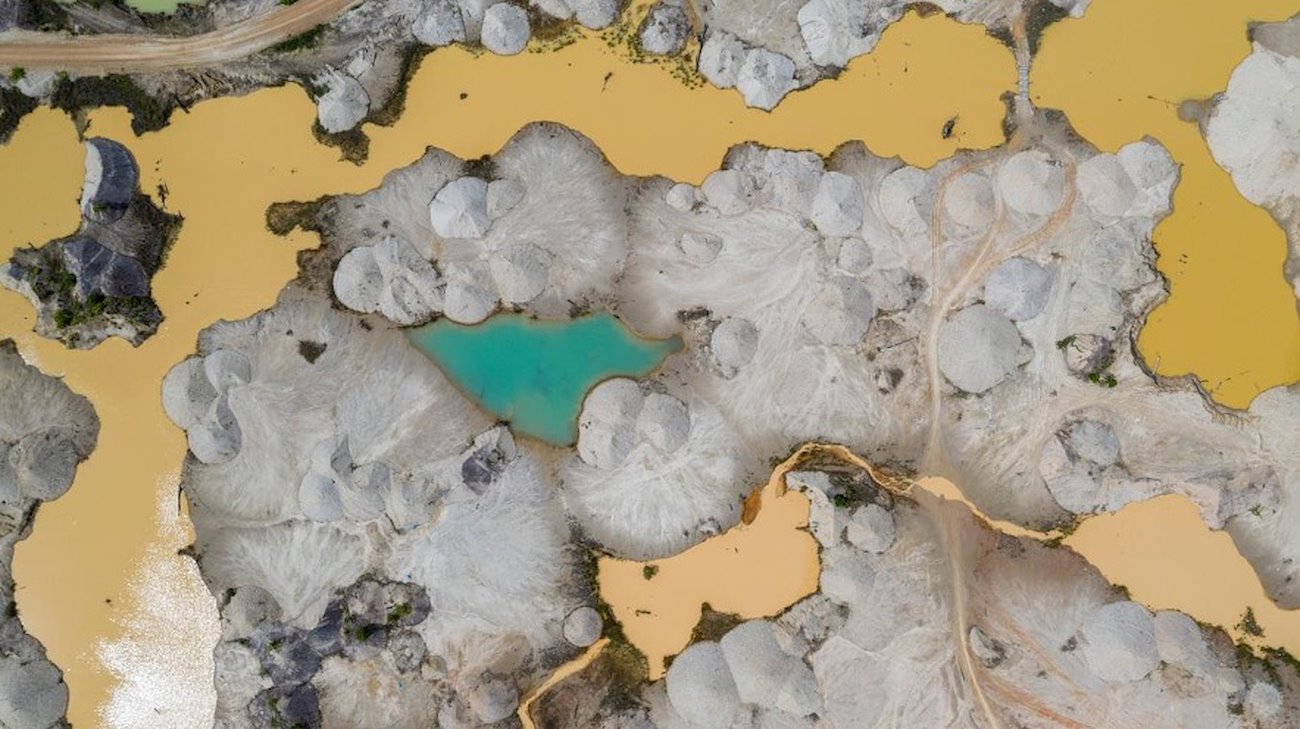 Cyanobacteria (blue-green algae) in areas of Madre de Dios affected by mining. Photo: Alejandro Saldívar