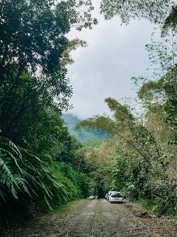 A photo in this story