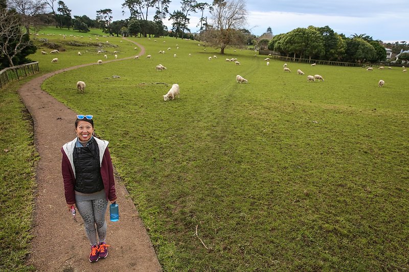 SOMEONE IS VERY EXCITED ABOUT ALL OF THE FLUFFY SHEEP! (Photo taken in Cornwall Park.)