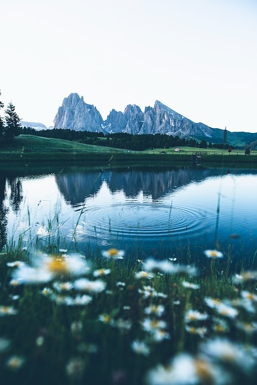 A photo in this story