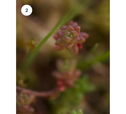A photo in this story