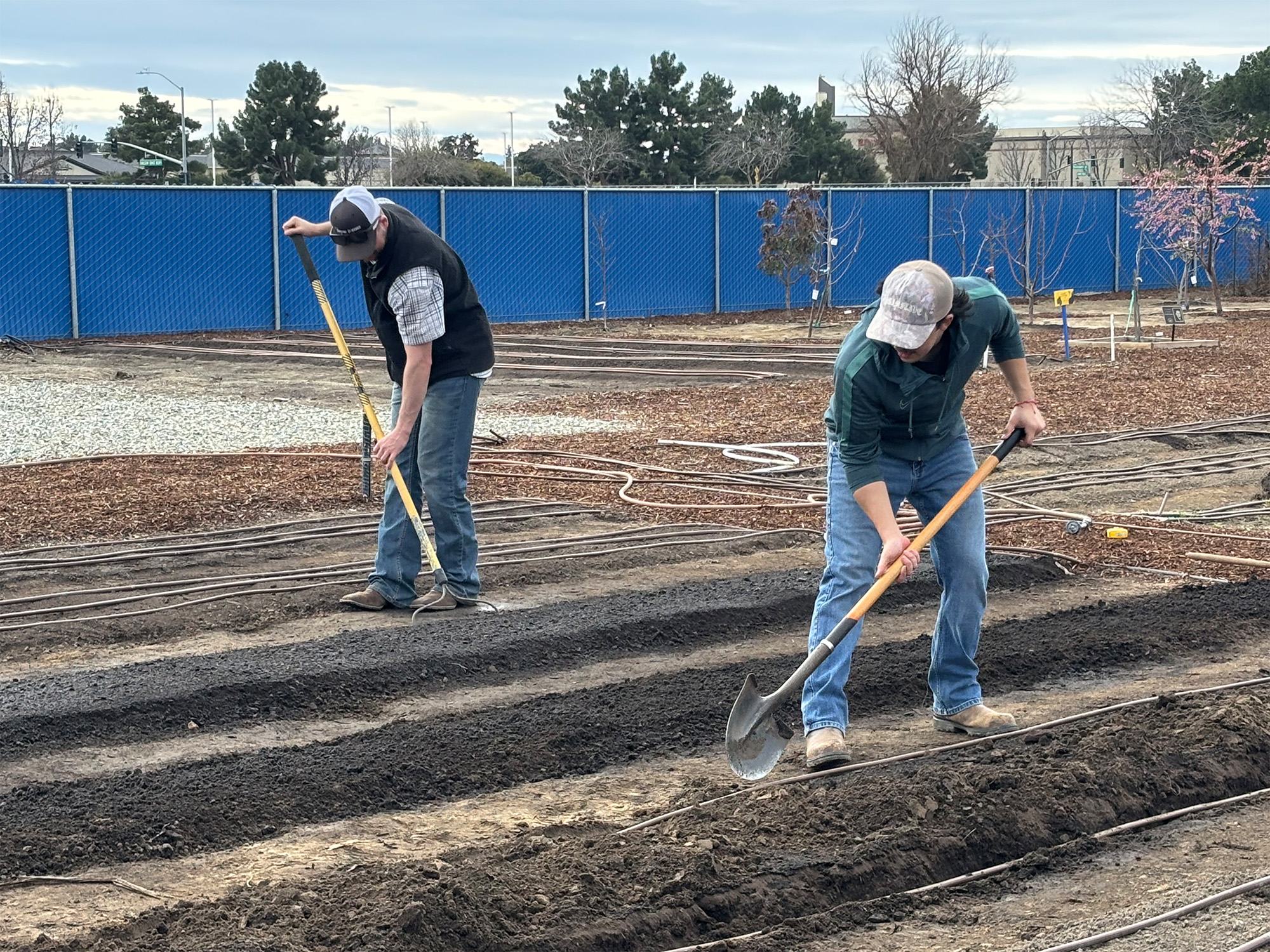 CSUB offers first course at Edible Garden