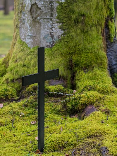 The site memorializes the nine companies of American troops that became isolated by German forces during WWI.