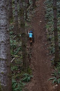 A photo in this story