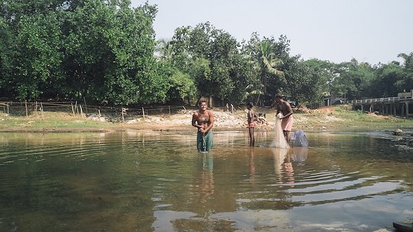 A photo in this story