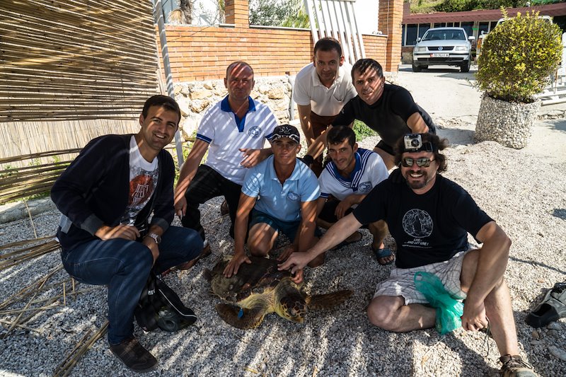 Claudia Amico-turtle release process in Radhima with project staff+expert Andi Vaso+diver-fisherman+ local institutions.jpg