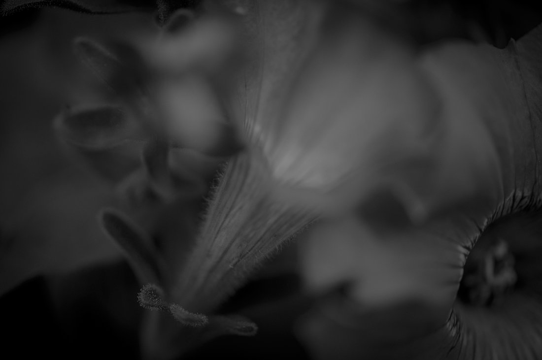 A photo in this story
