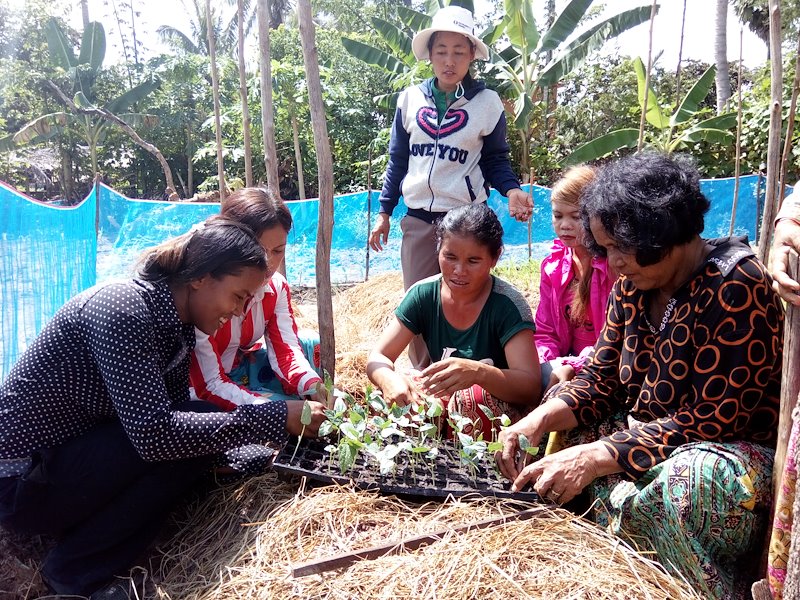 Women attend a training on seedling establishment for their home vegetable gardens. Photo: World Vegetable Center