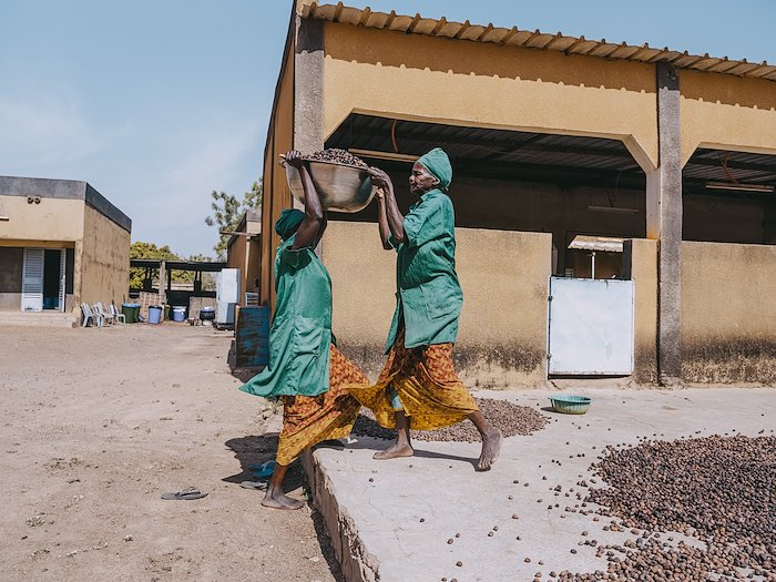 shea butter cooperative