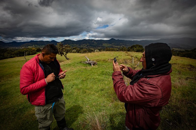 A photo in this story