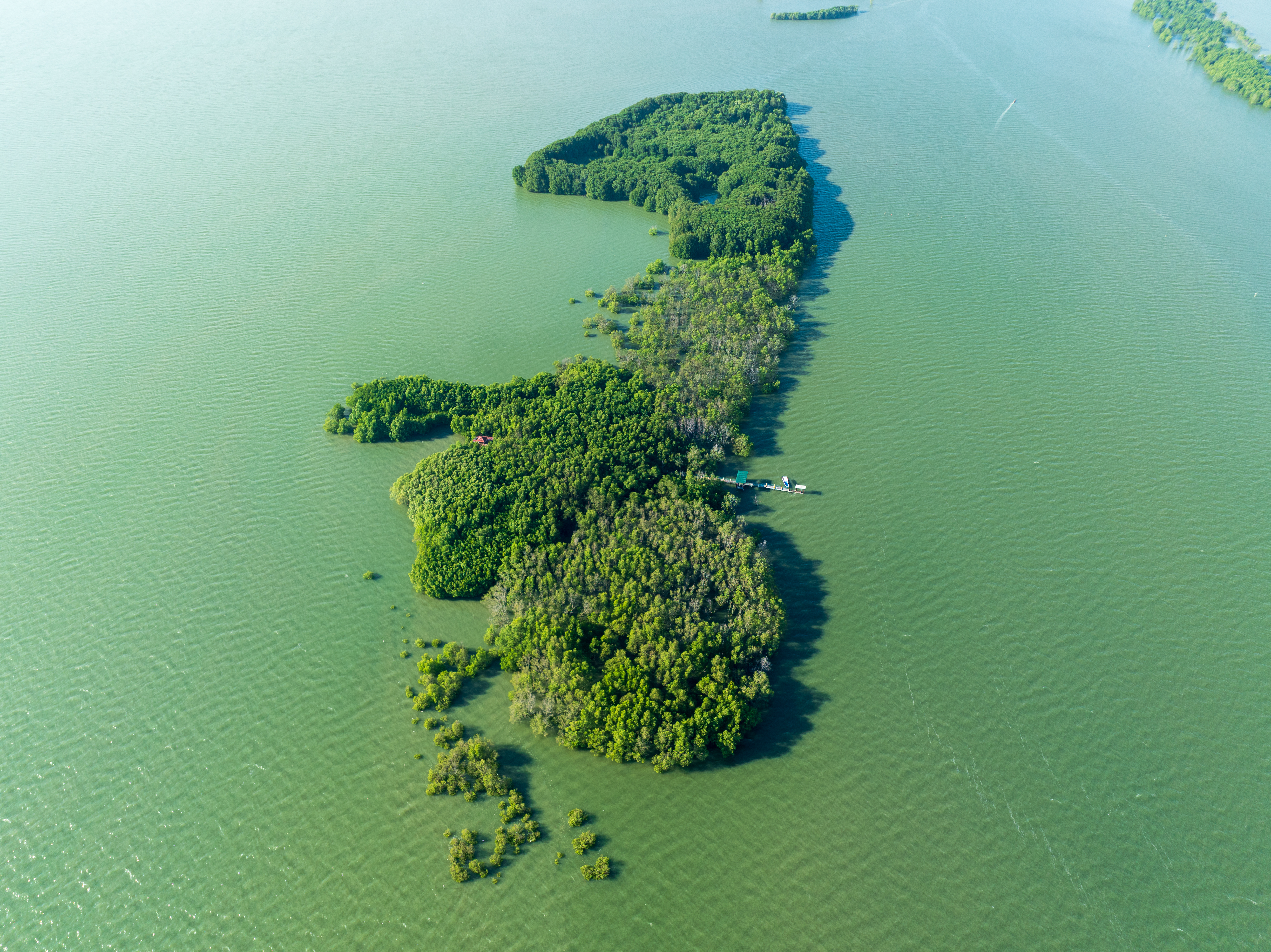 A view of the Sasmuan Bangkung Malapad Critical Habitat and Ecotourism ...