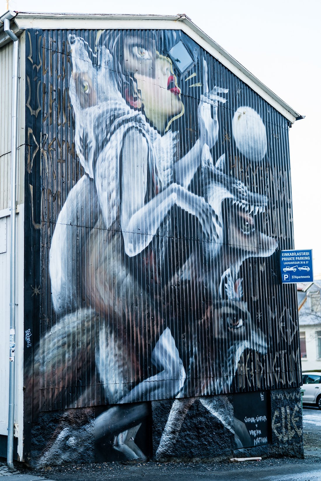 A photo in this story