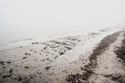 A photo in this story
