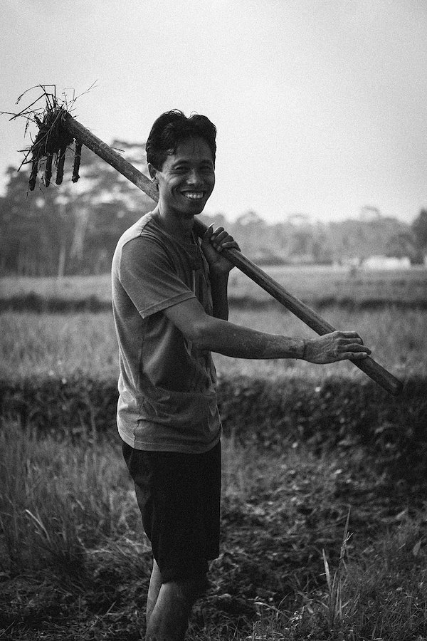 A photo in this story