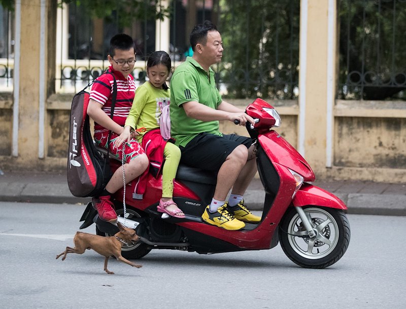 Walking the dog in Hanoi. Photo by Jaren Wilkey/BYU