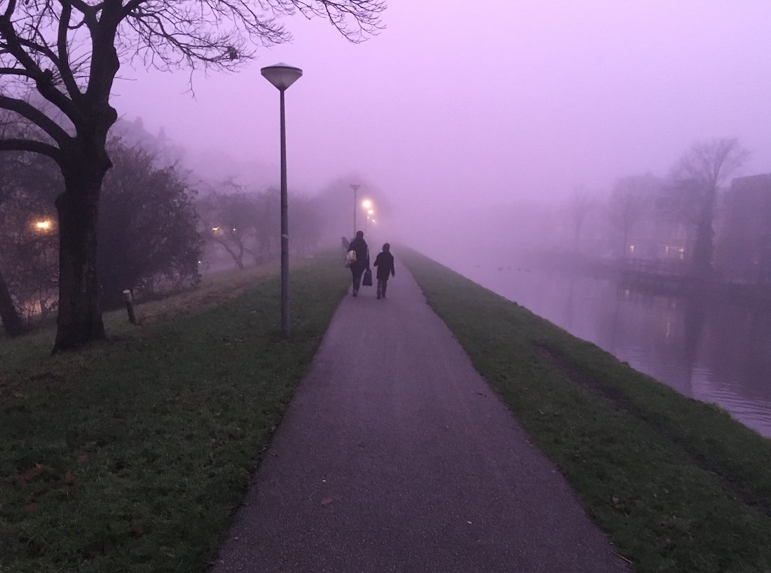 A photo in this story