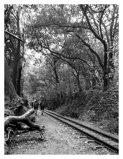 A photo in this story