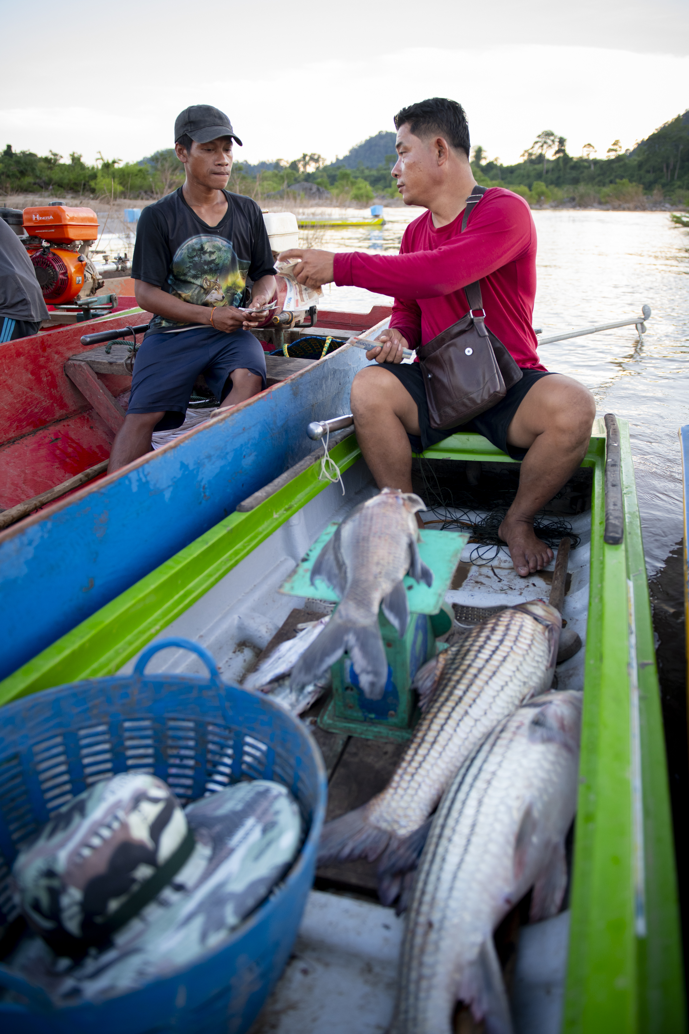 © Emanuela Colombo / WWF-Laos