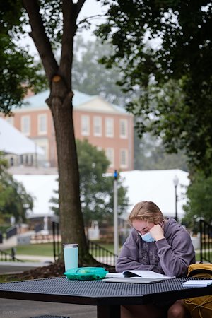 A photo in this story