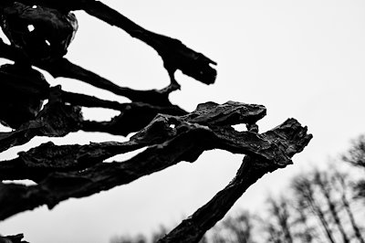 A photo in this story