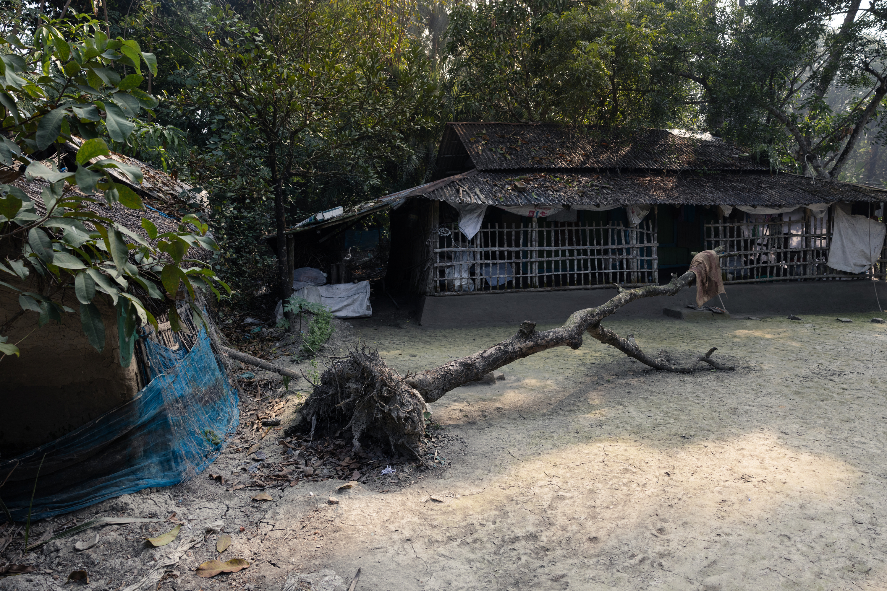 Champa and Rekha: Fighting Tuberculosis Through Fear and Floods in ...