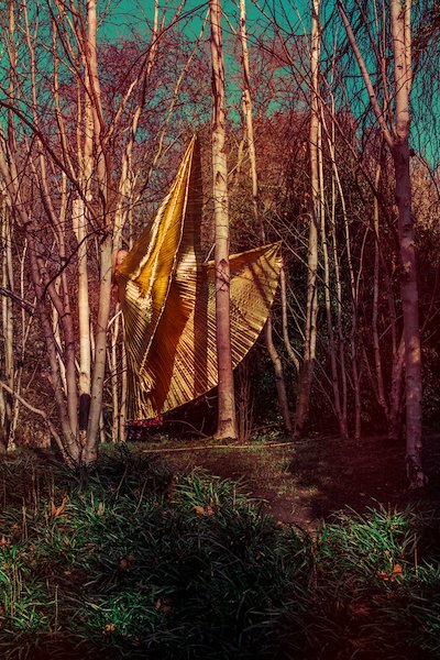 A photo in this story