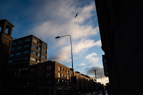A photo in this story