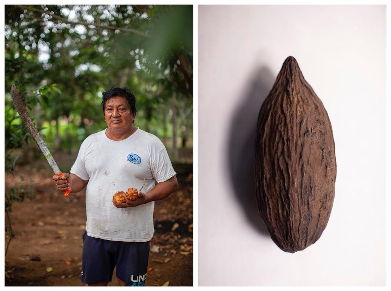 Right: Jorge Tayón Keddero, environmental defender of the Harakmbut community. Left: Cacao versus gold. Photos: Alejandro Saldívar