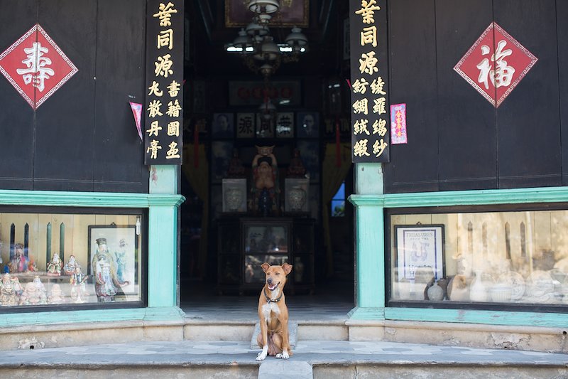 A dog stands watch over his owner's shop.