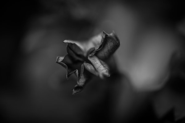 A photo in this story