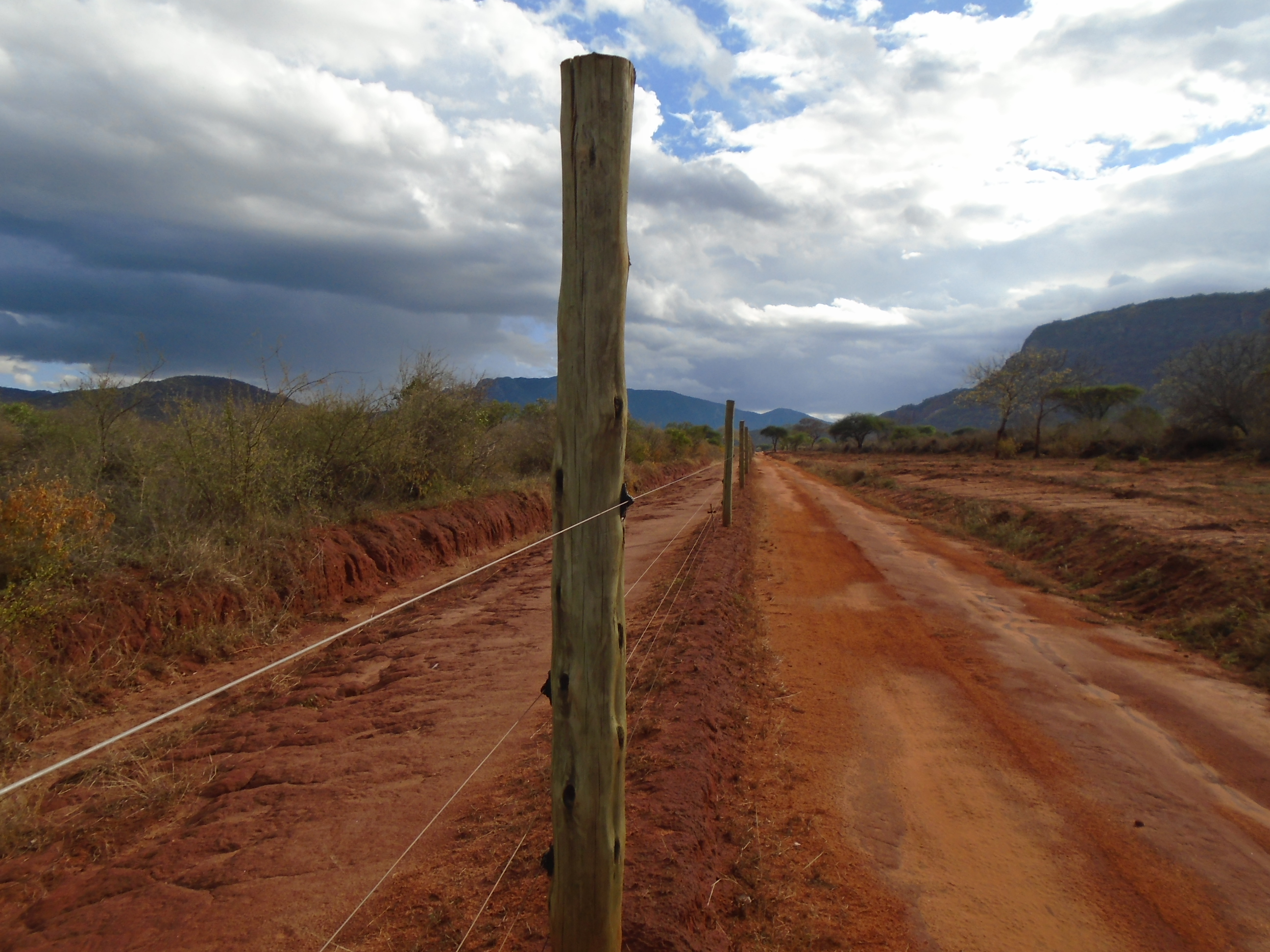 Firebreak around the Ngulia Rhino Sanctuary. Firebreaks help management ...