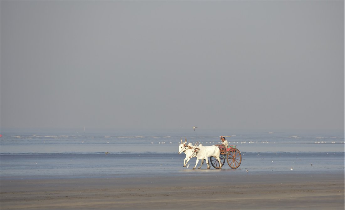 A photo in this story