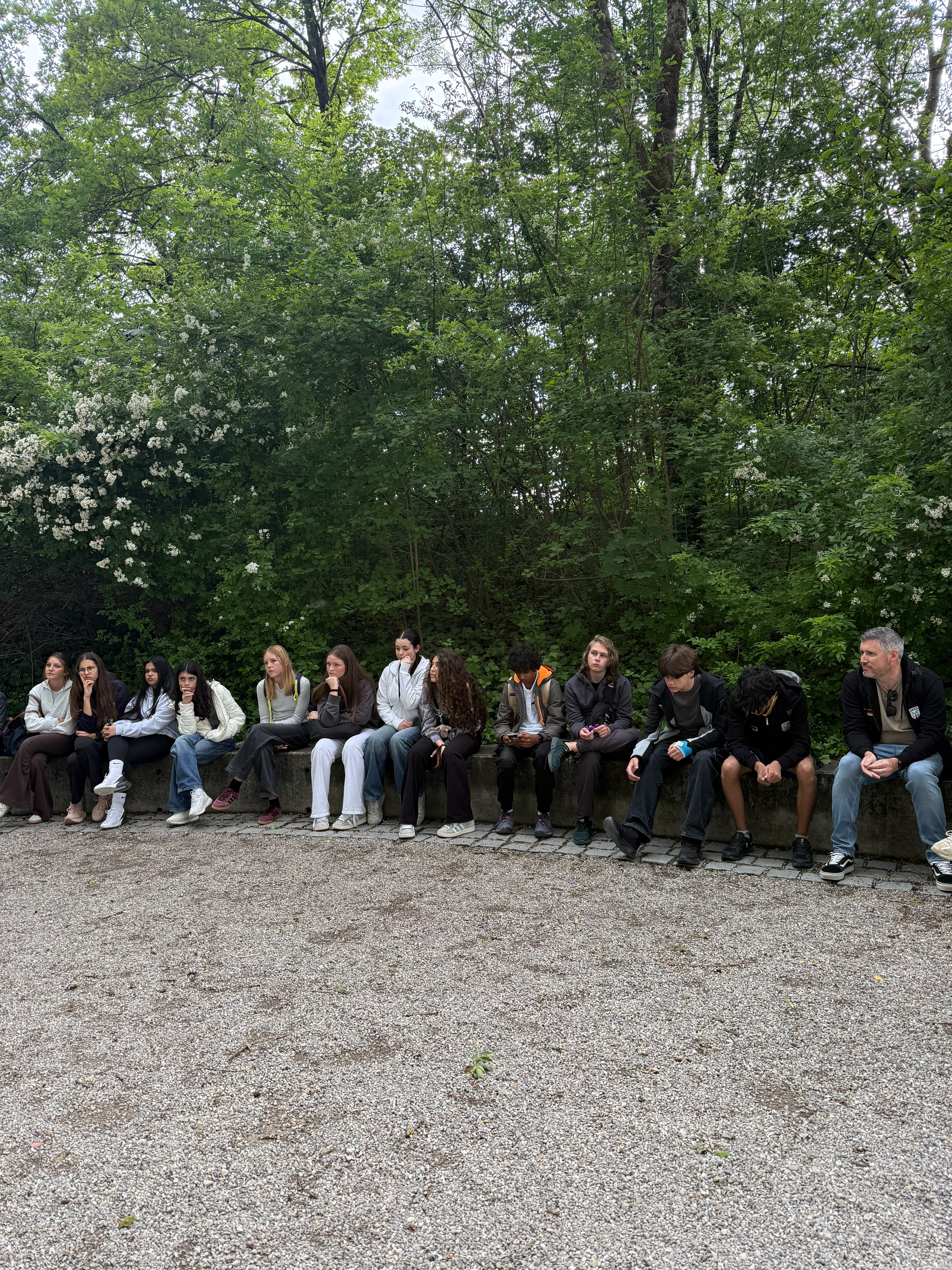 DESSC | Germany