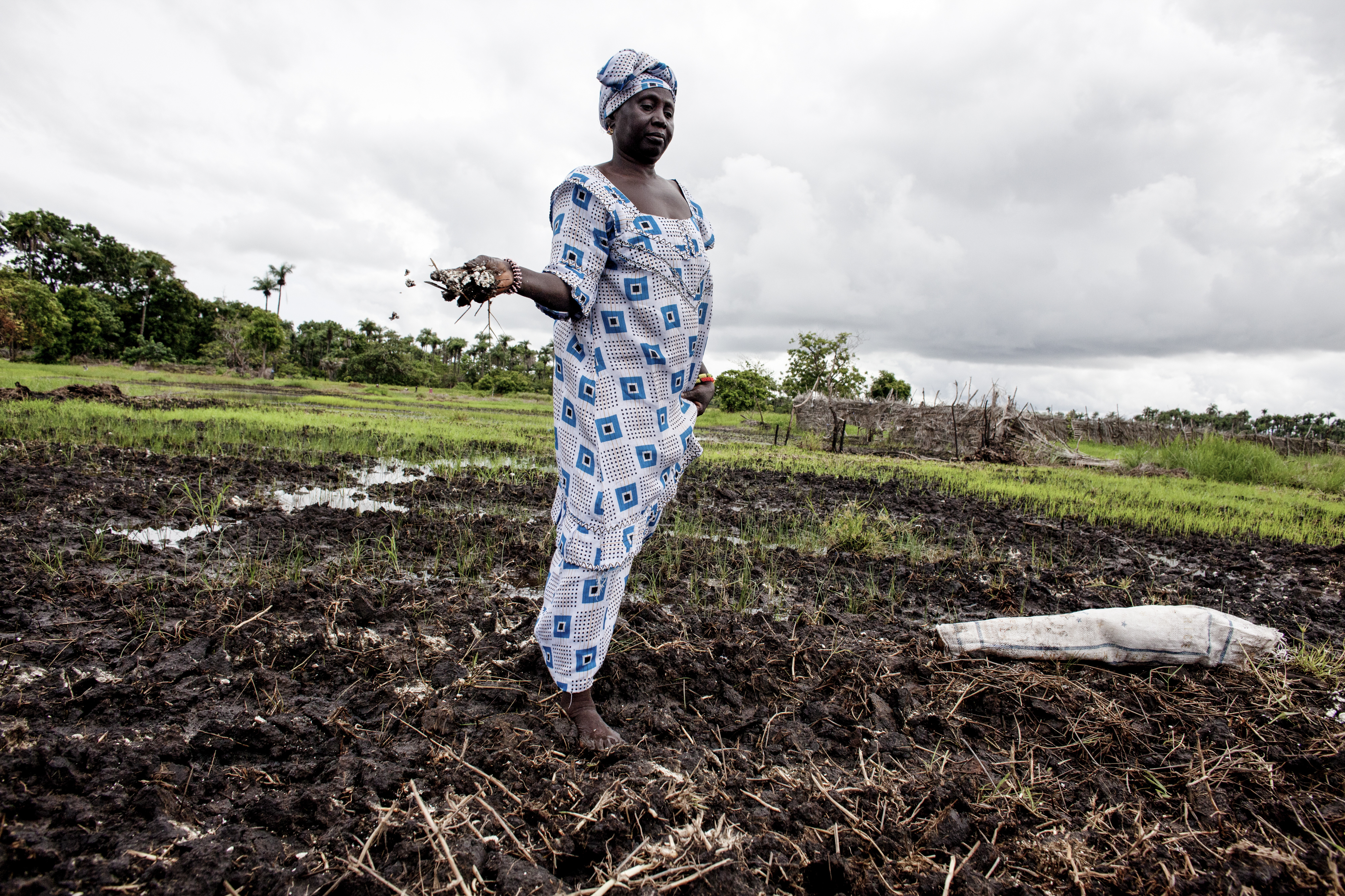 Hawah Jammeh spreads lime in her once abandoned rice field at Nema Kunku. © Jane Hahn / ActionAid